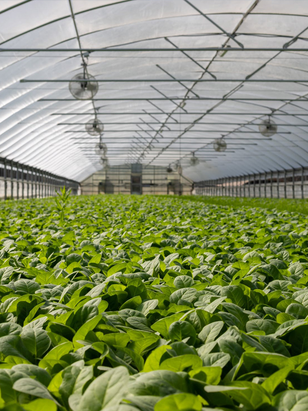 WKK voor tuinders en kwekers
